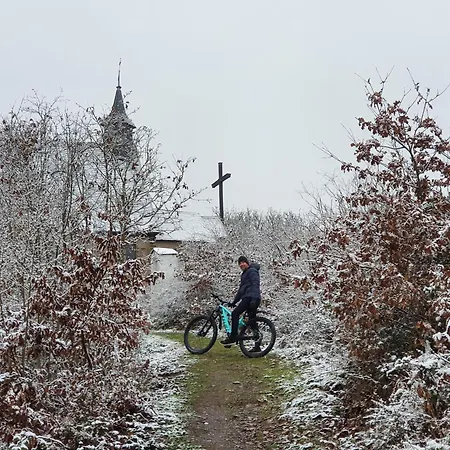 Roemerstube & אדיגר-אלר